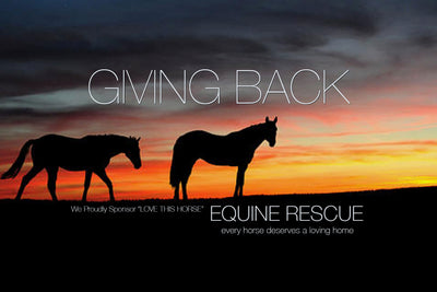 GIVING BACK - EQUINE RESCUE