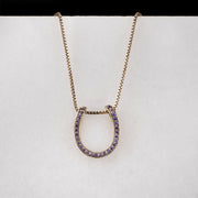 Levade Horseshoe Necklace - Violet Silver
