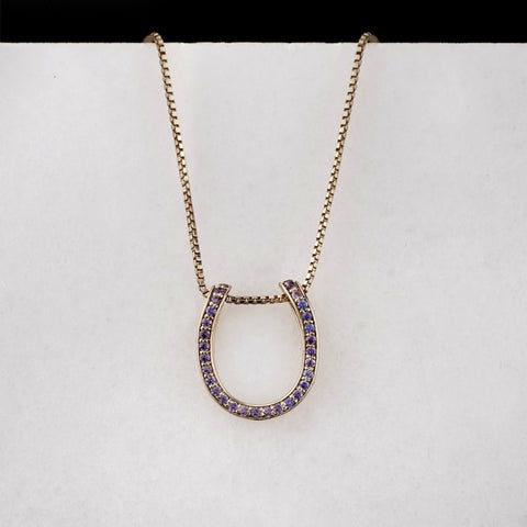 Levade Horseshoe Necklace - Violet Silver